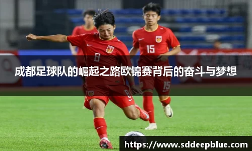 成都足球队的崛起之路欧锦赛背后的奋斗与梦想