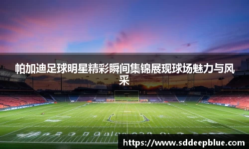 帕加迪足球明星精彩瞬间集锦展现球场魅力与风采