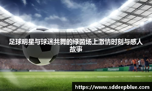 足球明星与球迷共舞的绿茵场上激情时刻与感人故事