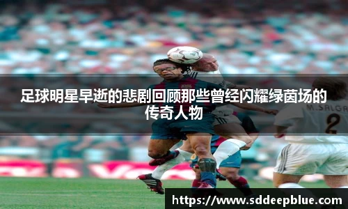 完美电竞官方网站